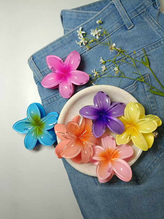 Gradient Flower Large Claw